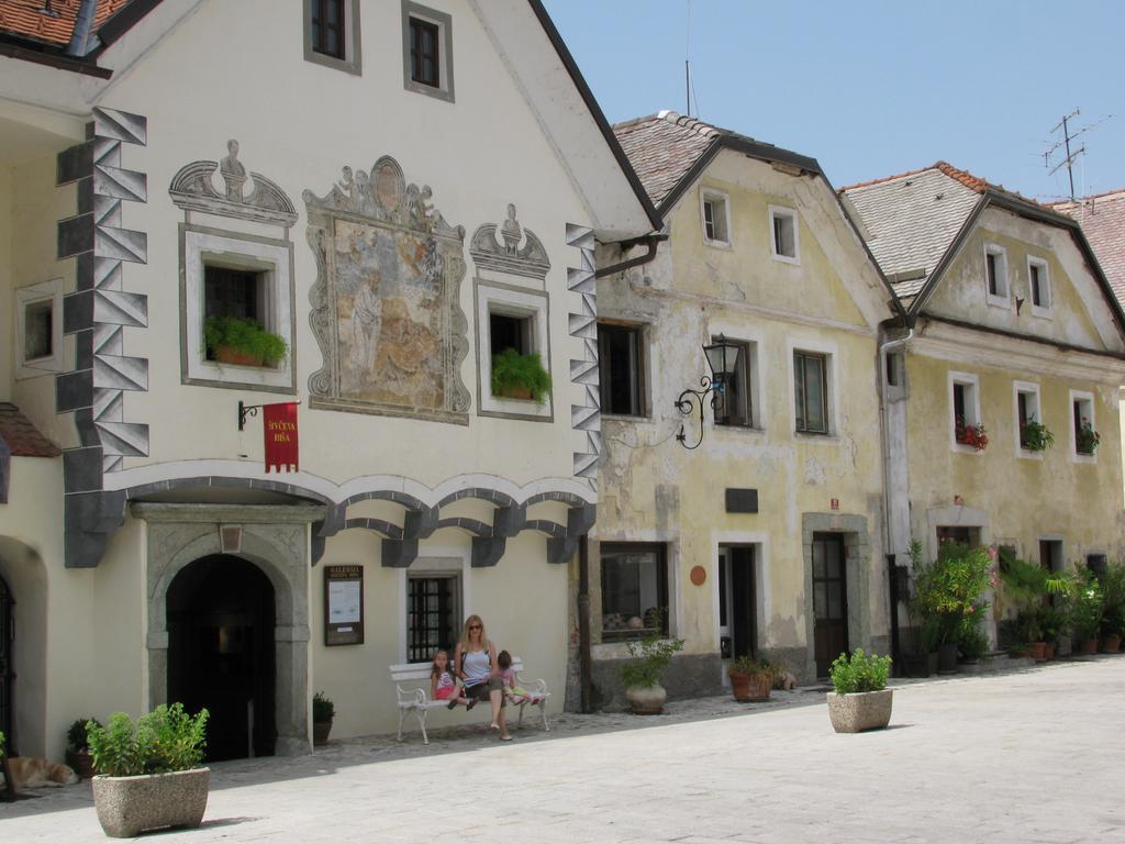 Hôtel Apartma Nova à Radovljica Extérieur photo